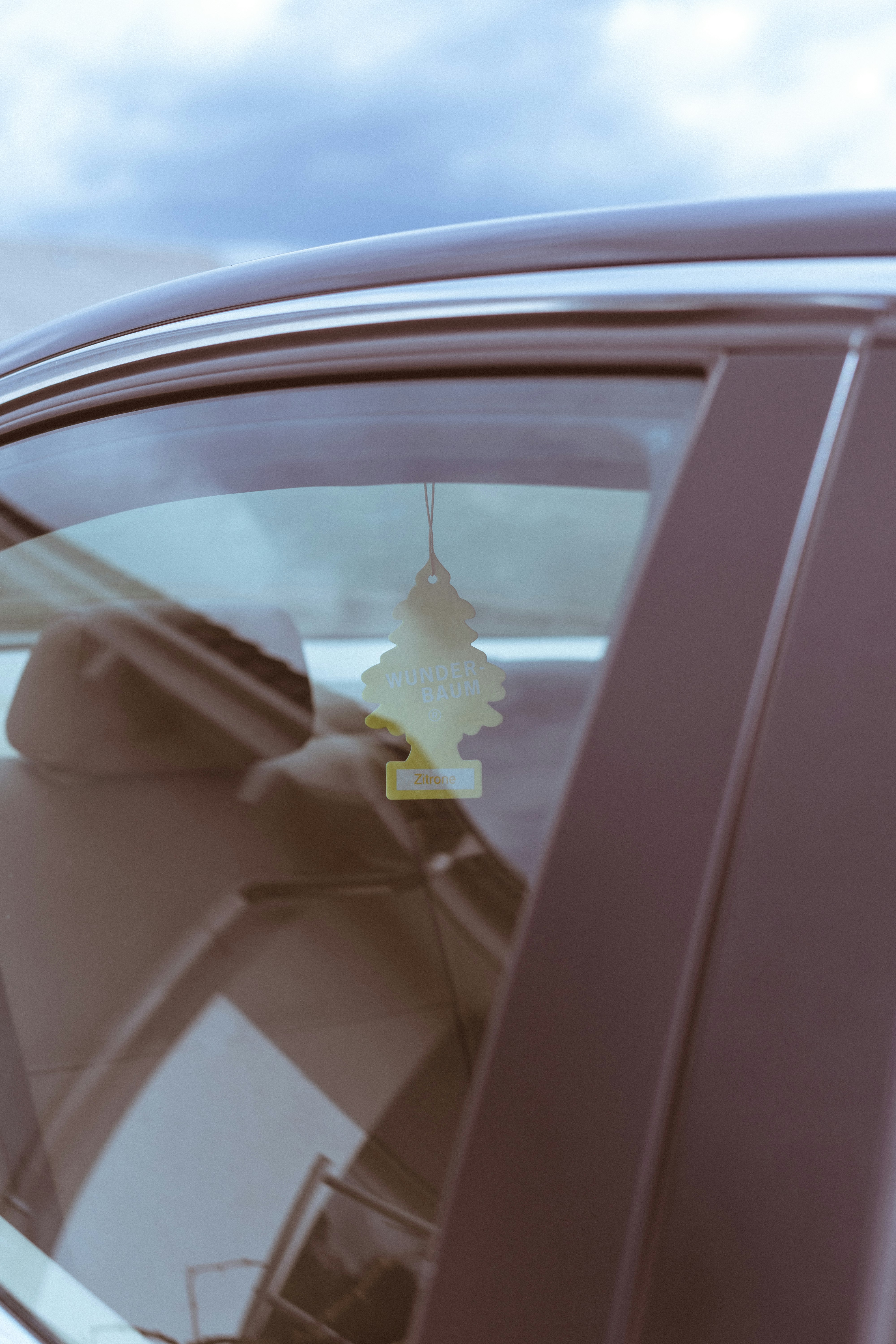 yellow and white bird on car window